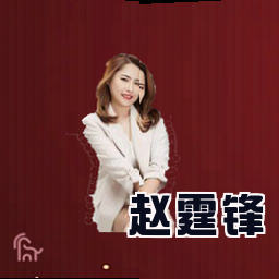 赵霆锋